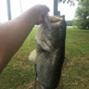 Meet your Posher, Elvis